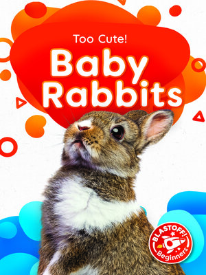 cover image of Baby Rabbits